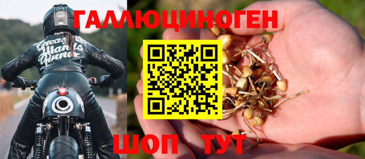 Псилоцибиновые грибы мицелий  Псилоцибиновые грибы Magic Shrooms  Вход с VPN  Ртищево 